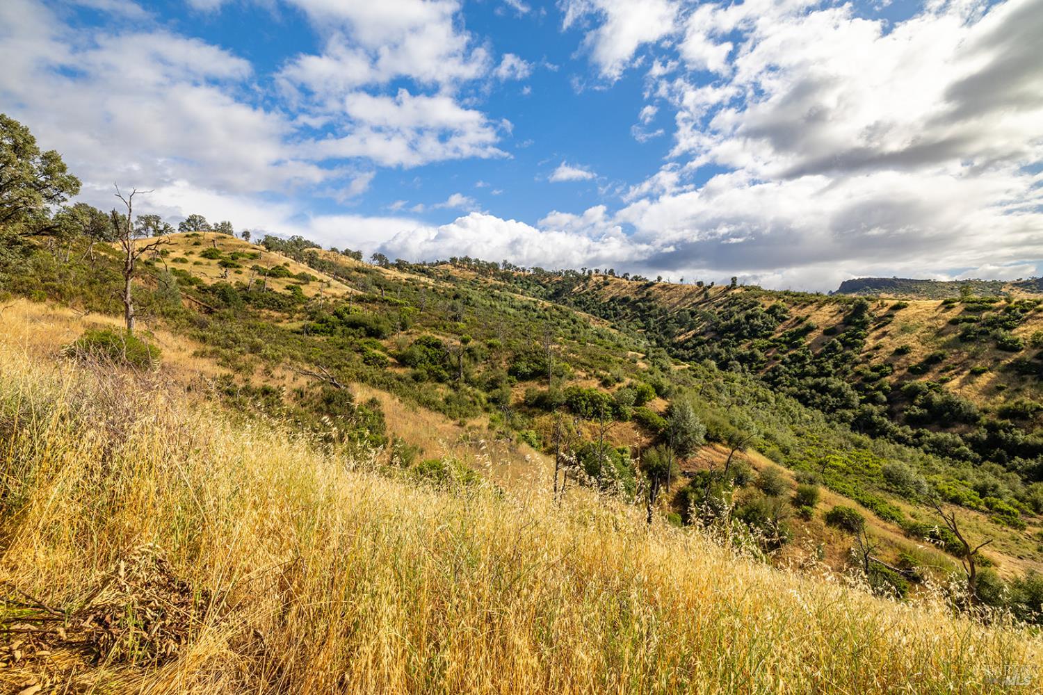 17925 E Highway 20 Clearlake Oaks CA 95423