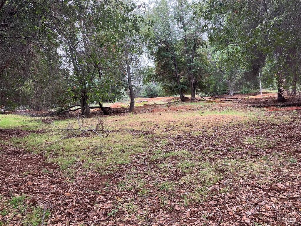 3153 S Lake Drive Kelseyville CA 95451