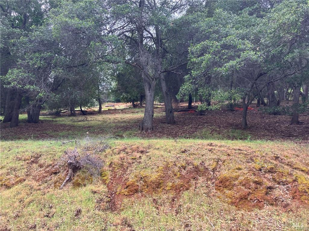 3153 S Lake Drive Kelseyville CA 95451