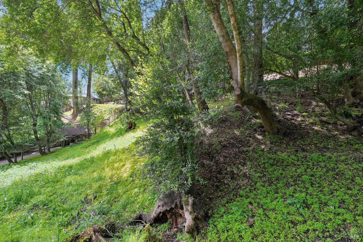 29 Lower Alcatraz Place Mill Valley CA 94941