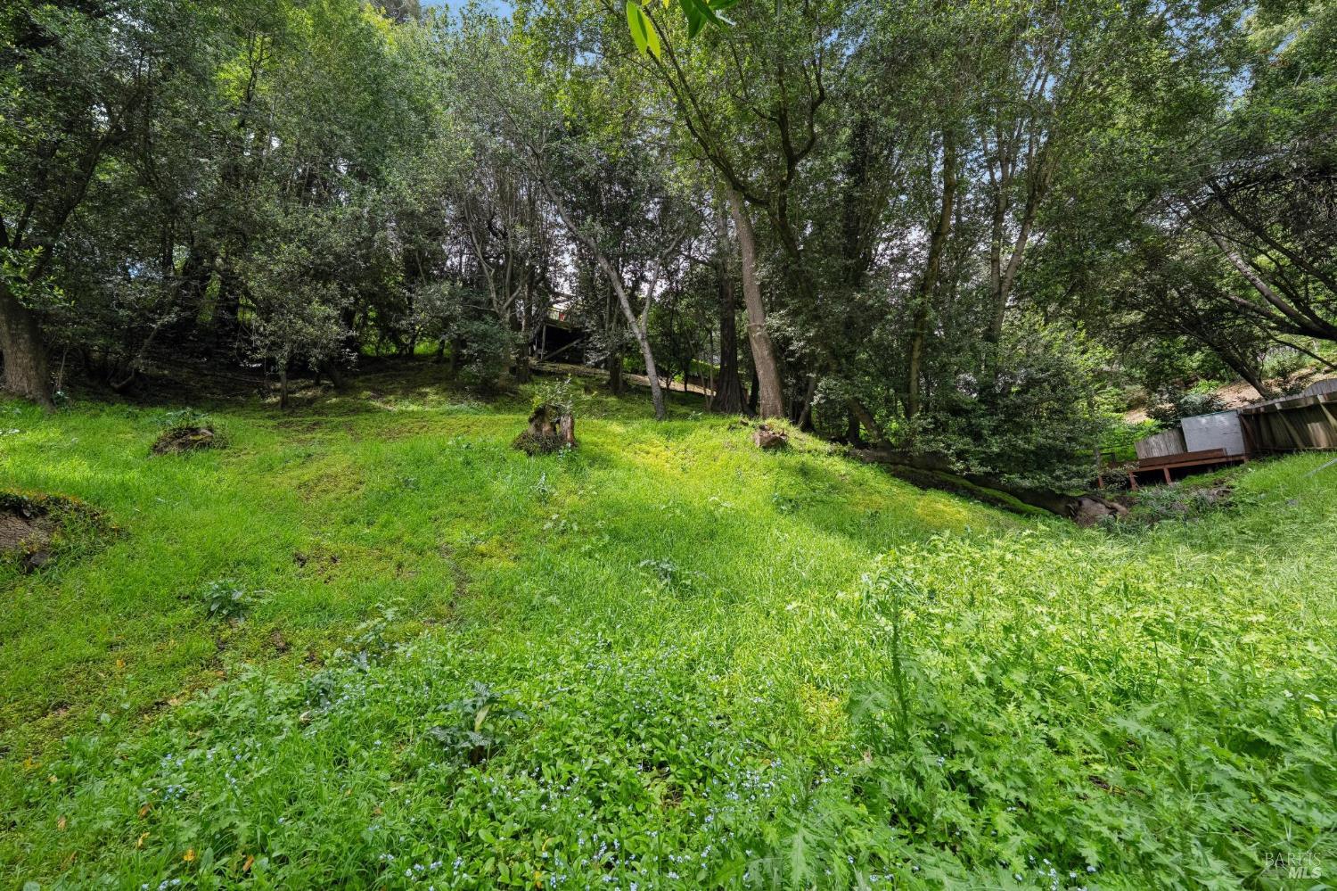 29 Lower Alcatraz Place Mill Valley CA 94941