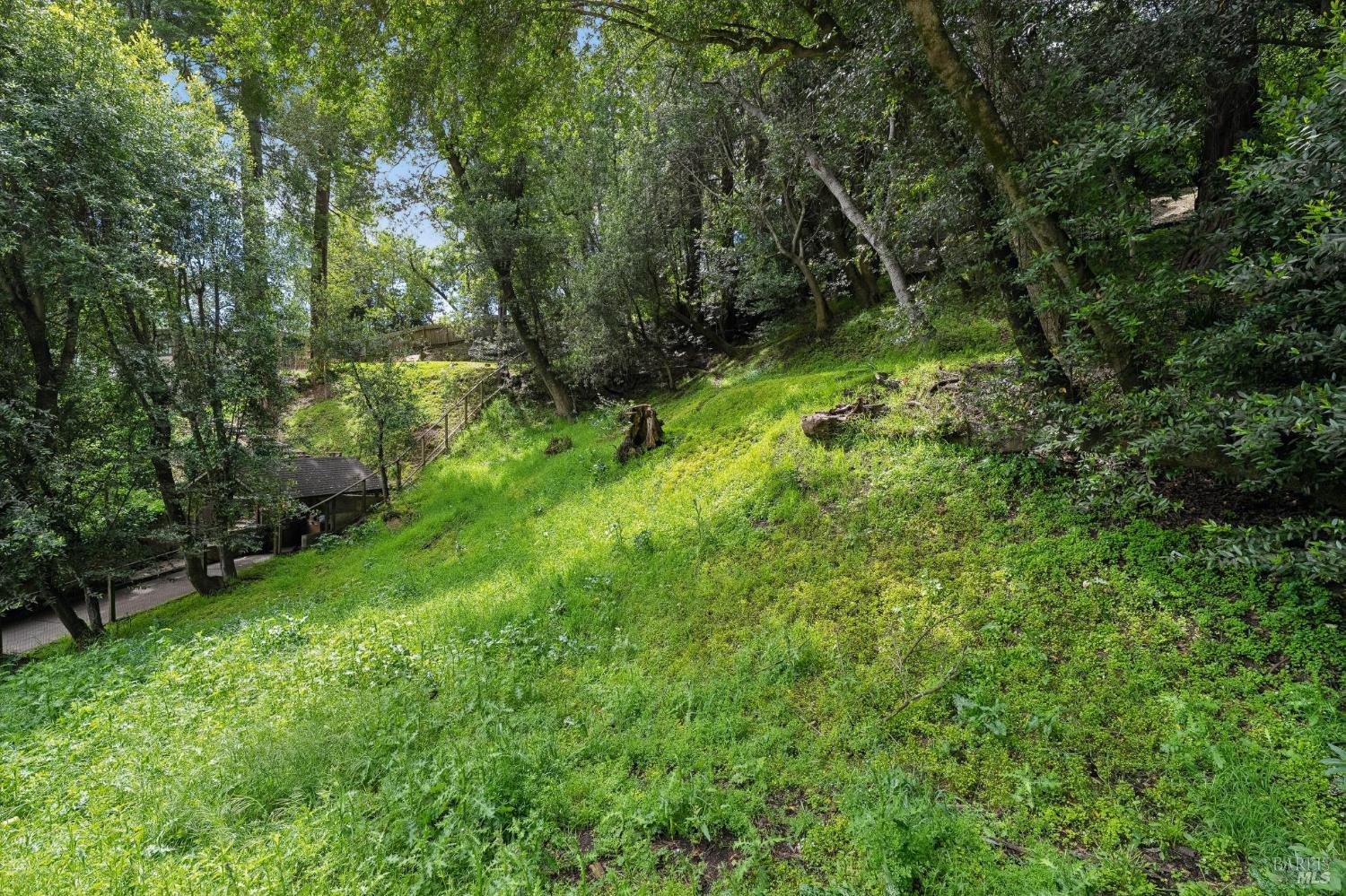 29 Lower Alcatraz Place Mill Valley CA 94941