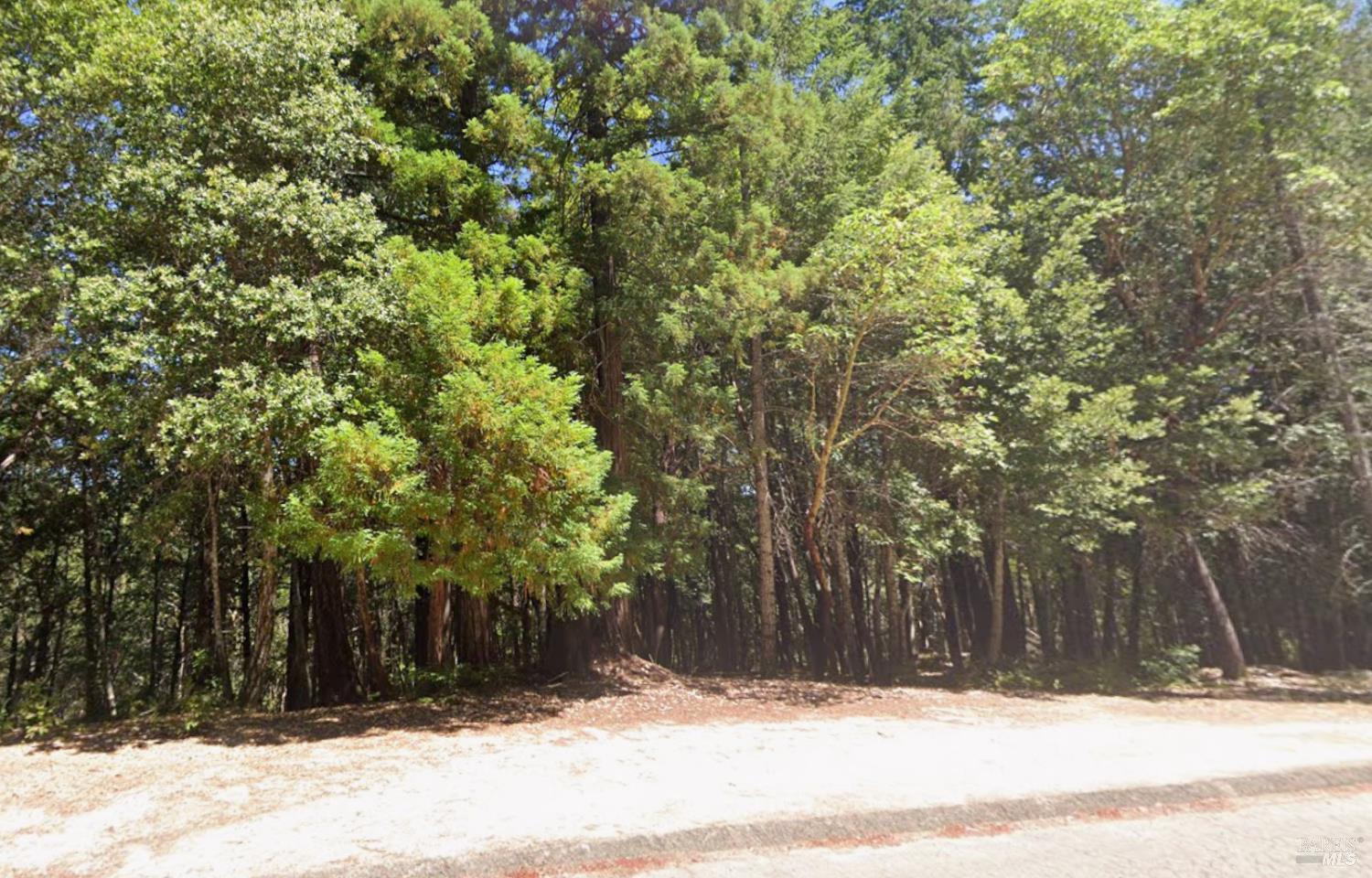 1860 Clover Drive Willits CA 95490