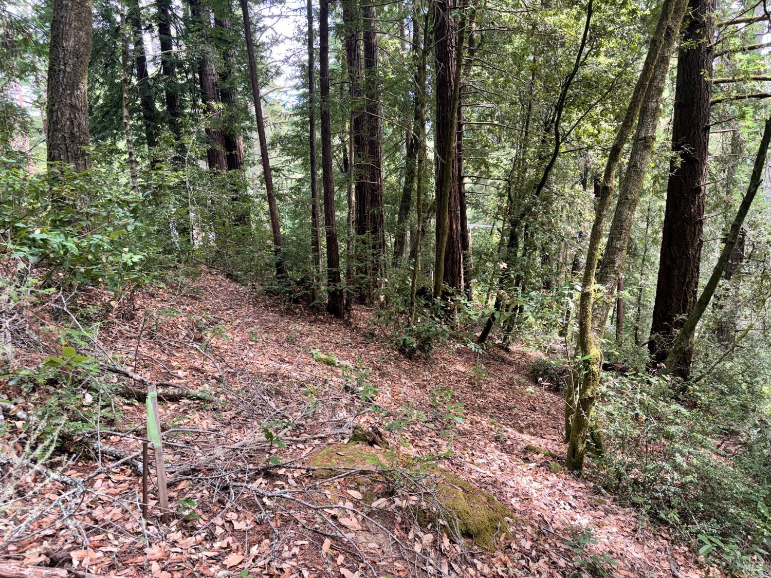 18190 Old Monte Rio Road Guerneville CA 95446