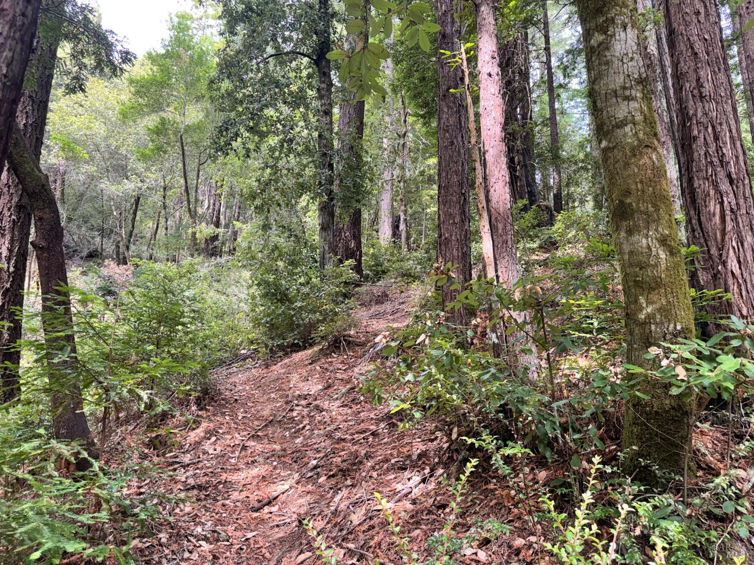 18190 Old Monte Rio Road Guerneville CA 95446