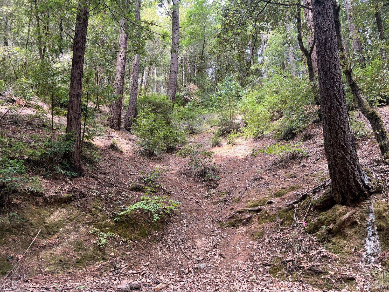 18190 Old Monte Rio Road Guerneville CA 95446