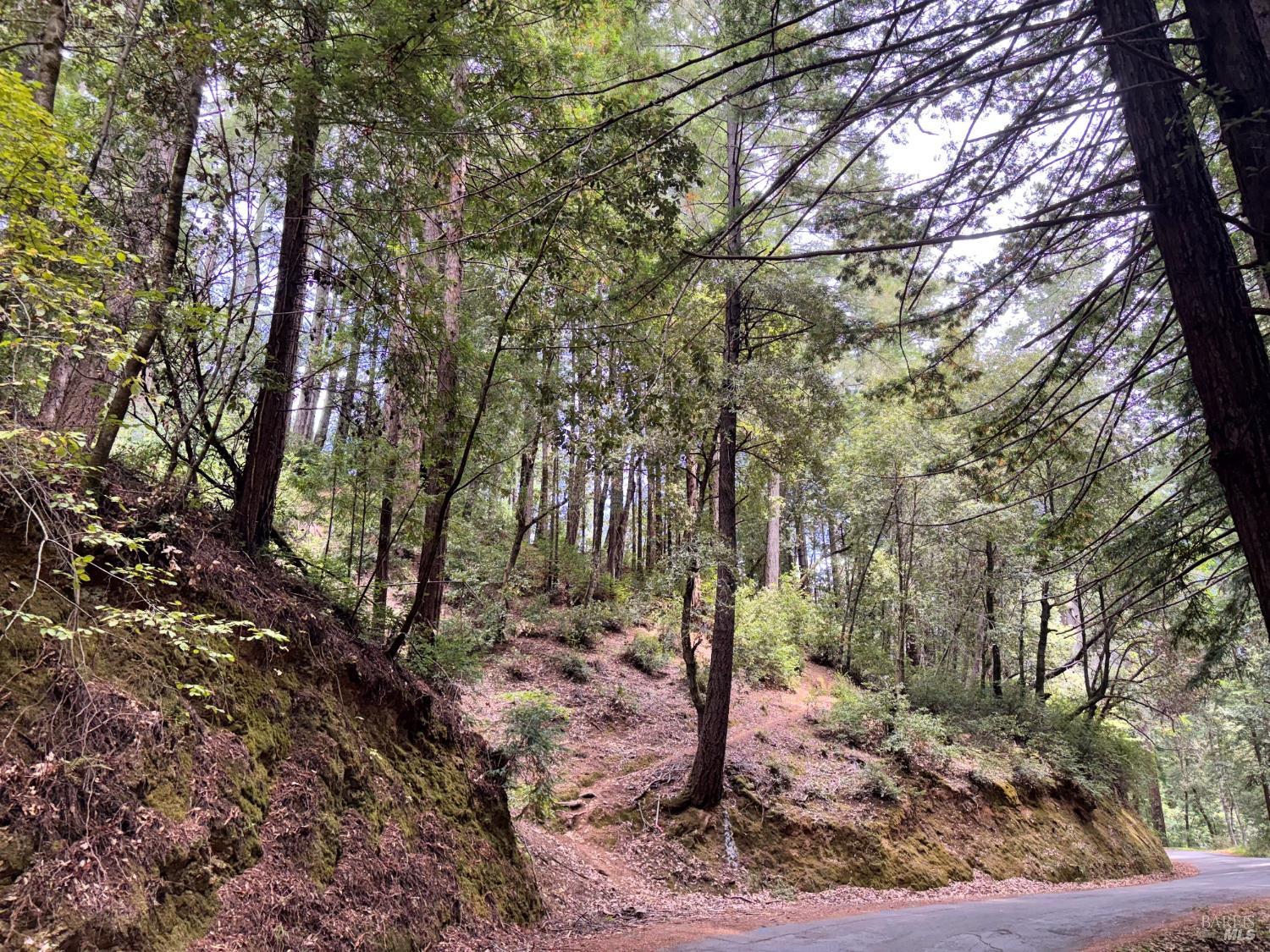 18190 Old Monte Rio Road Guerneville CA 95446