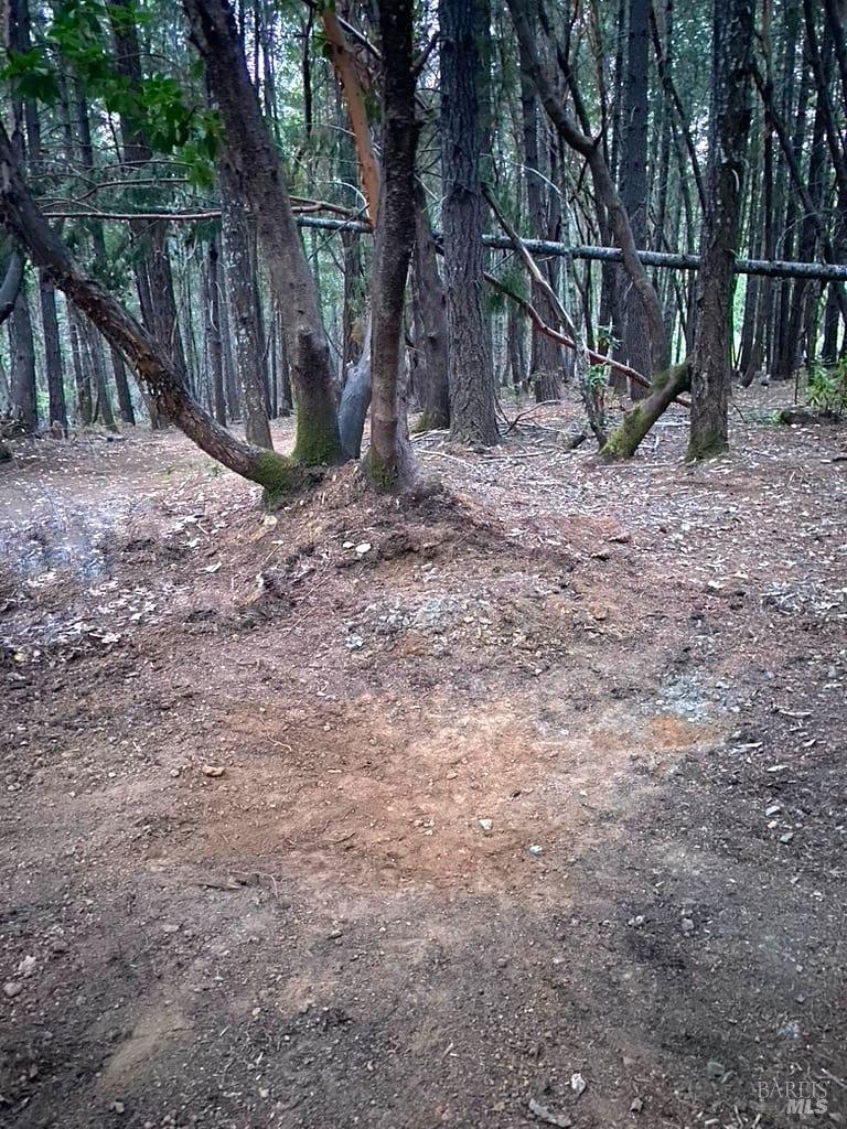 1901 Tenmile Creek Road Laytonville CA 95454