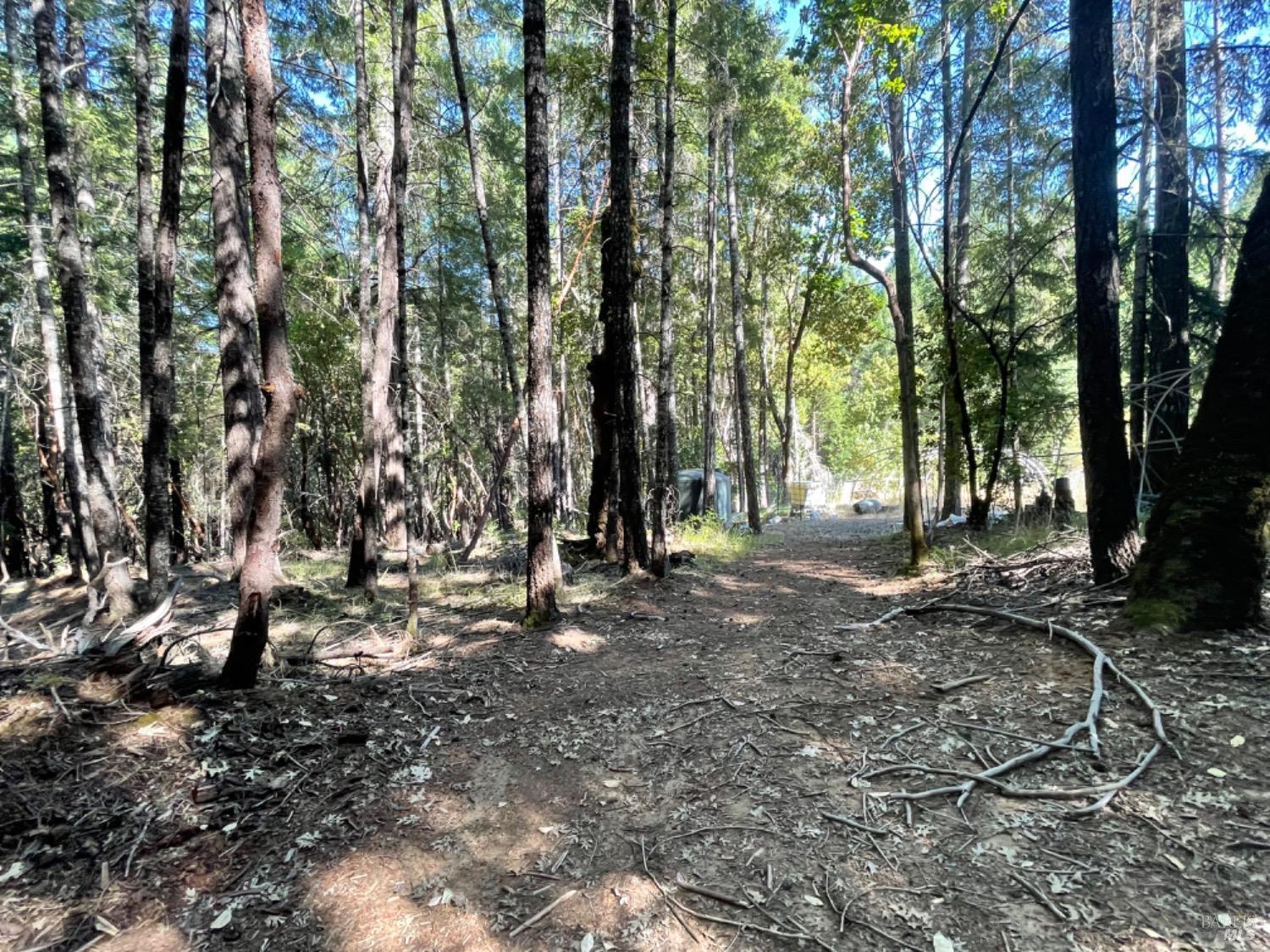 1901 Tenmile Creek Road Laytonville CA 95454