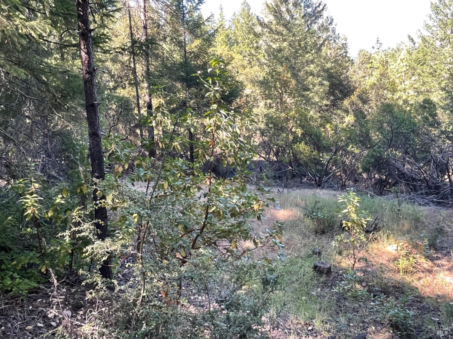 1901 Tenmile Creek Road Laytonville CA 95454