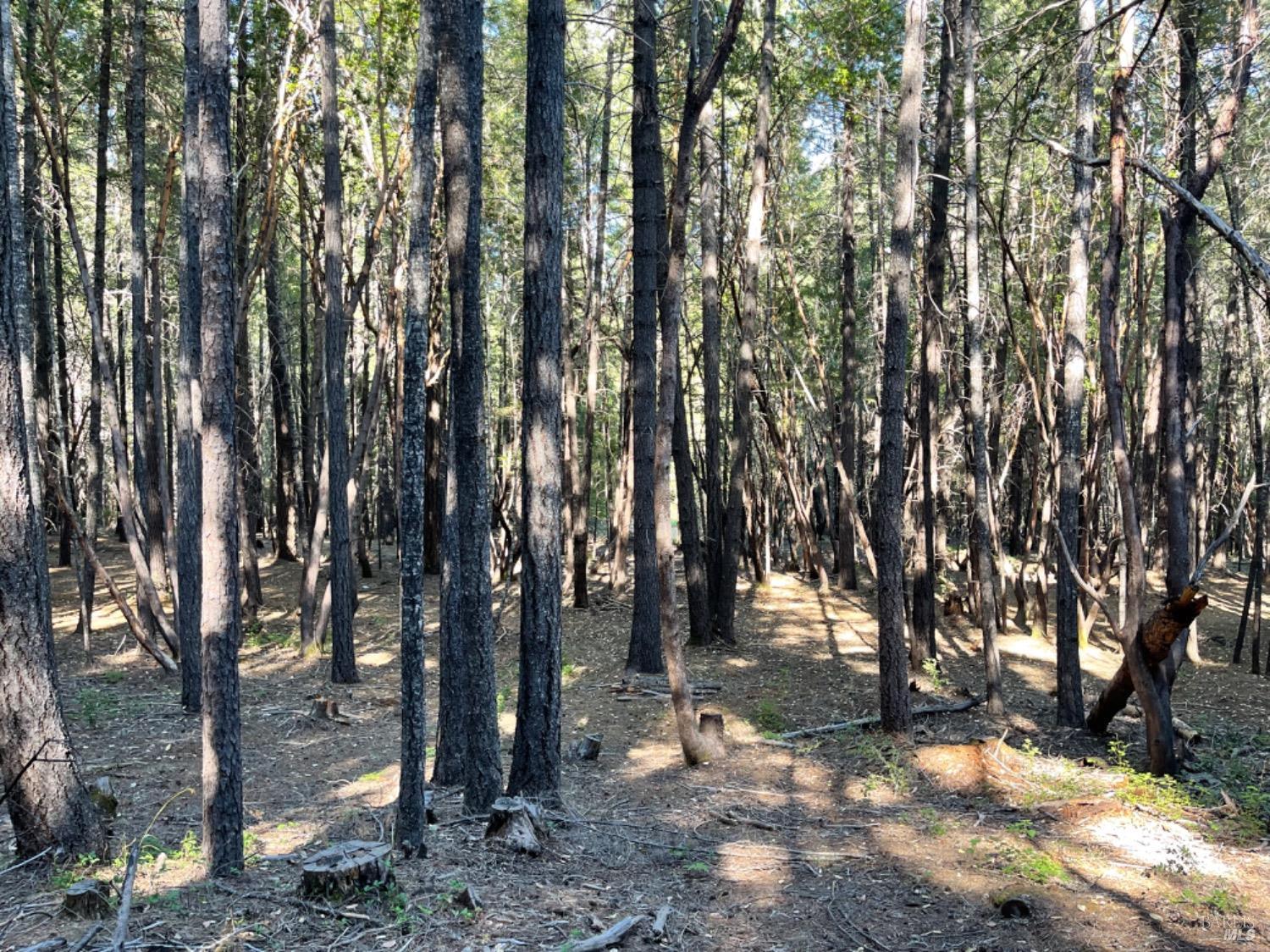 1901 Tenmile Creek Road Laytonville CA 95454