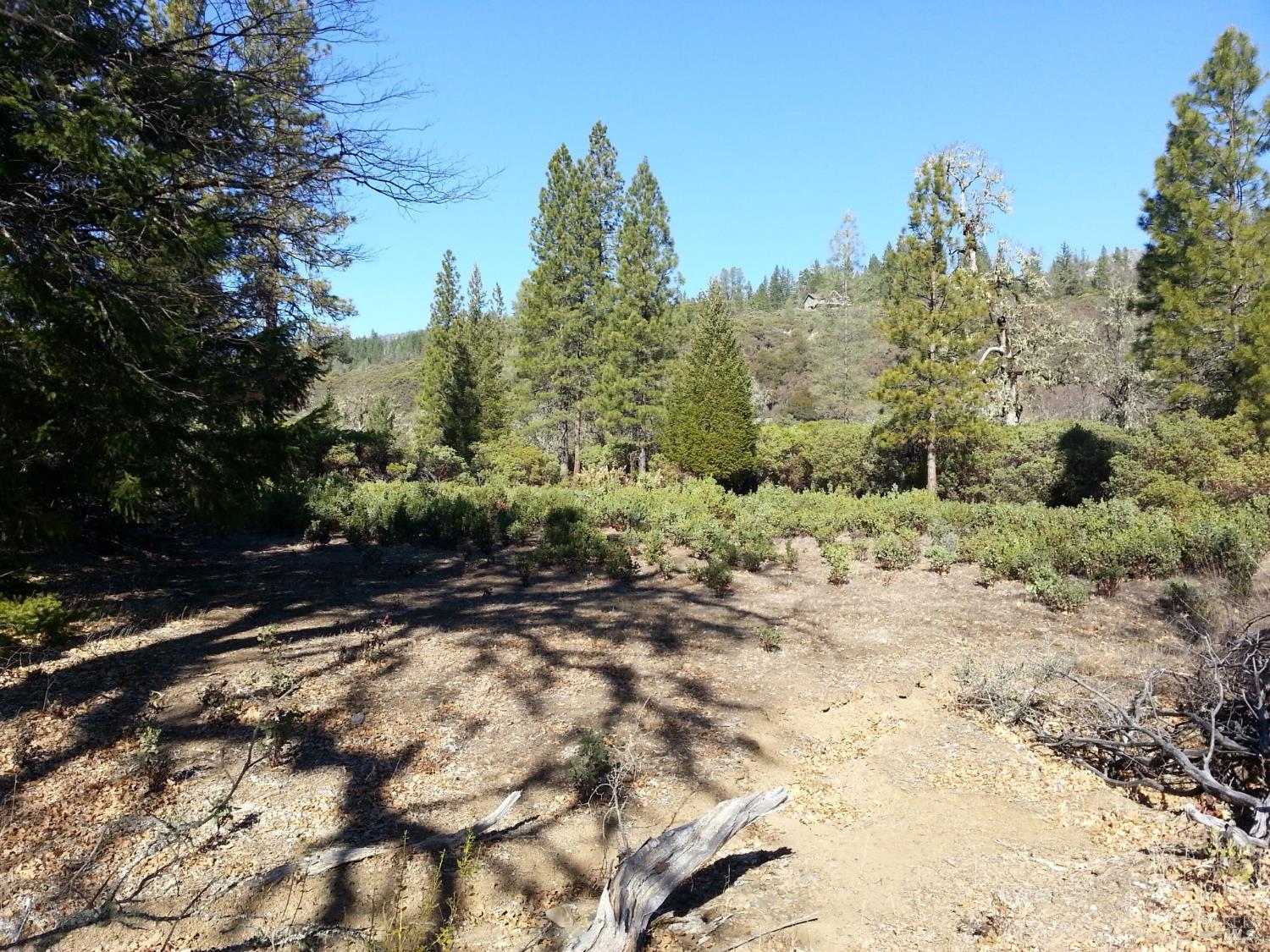 31325 Little Doe Court Potter Valley CA 95469