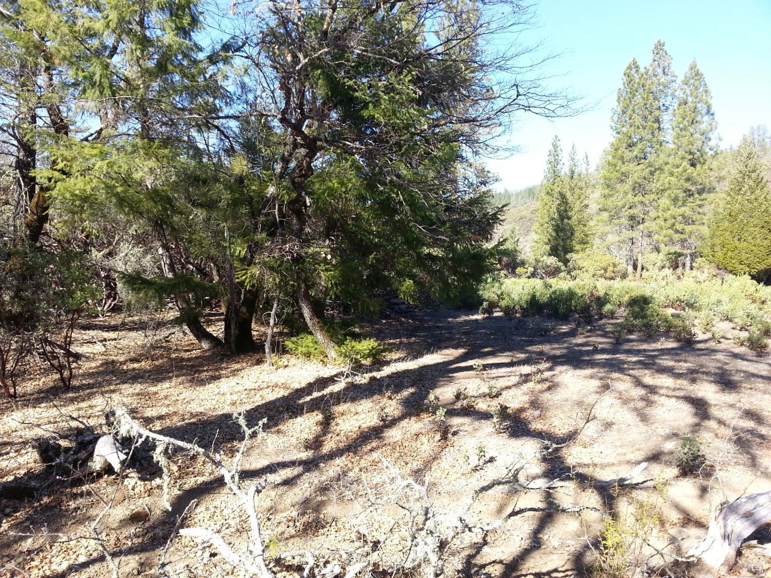 31325 Little Doe Court Potter Valley CA 95469