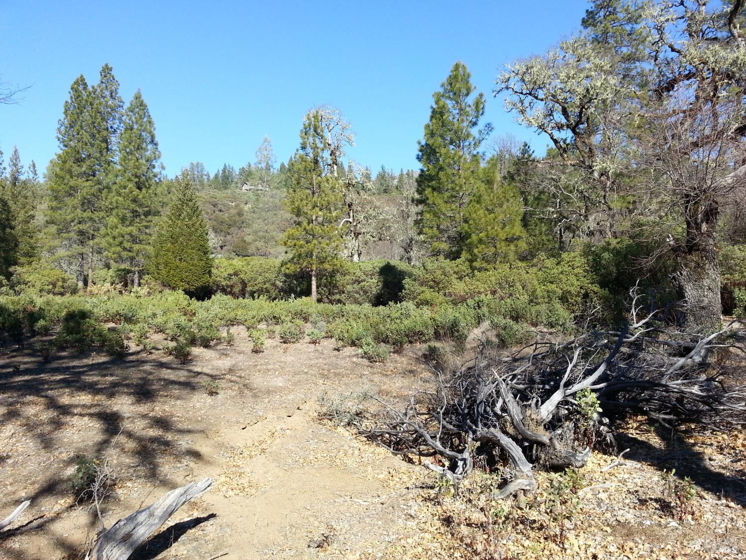 31325 Little Doe Court Potter Valley CA 95469