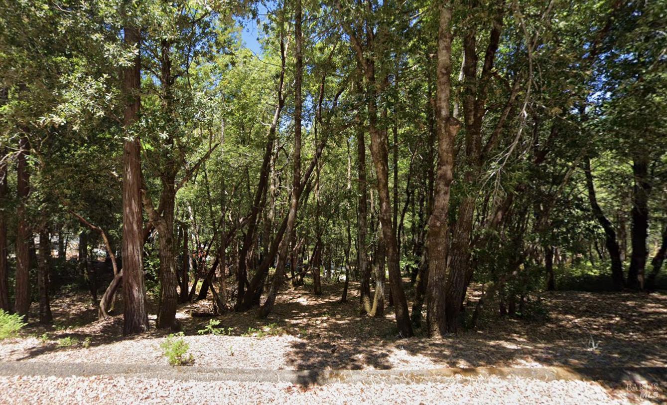 1664 Lilac Circle Willits CA 95490