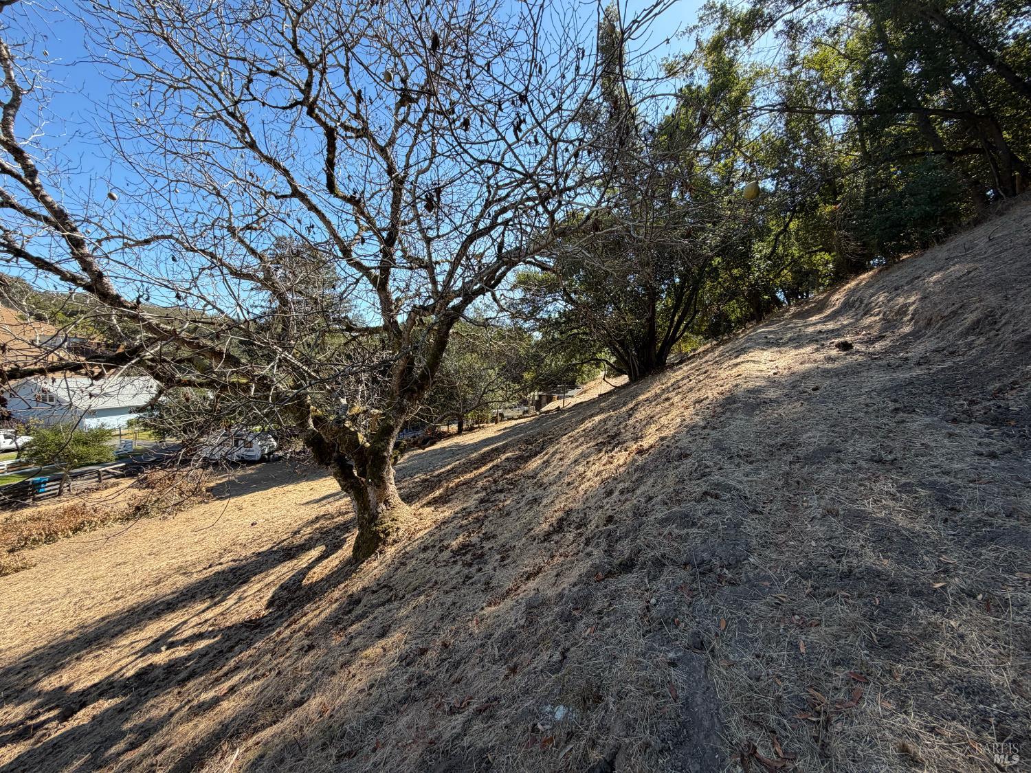 137 H Lane Novato CA 94945