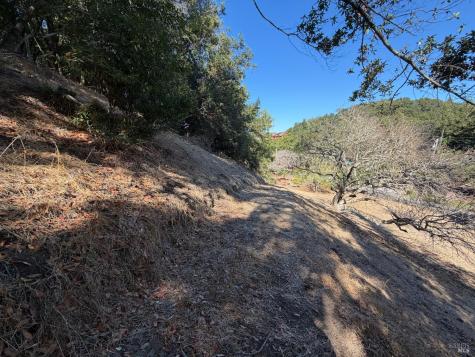 137 H Lane Novato CA 94945