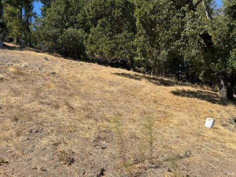 137 H Lane Novato CA 94945