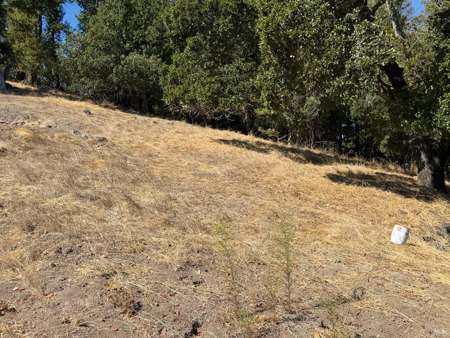 137 H Lane Novato CA 94945