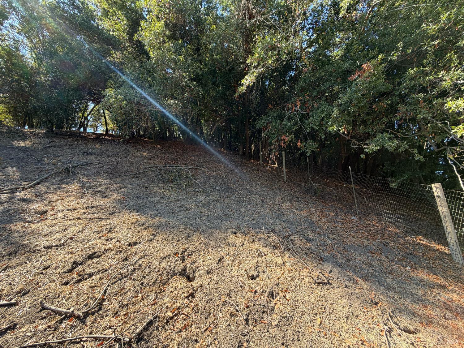 137 H Lane Novato CA 94945