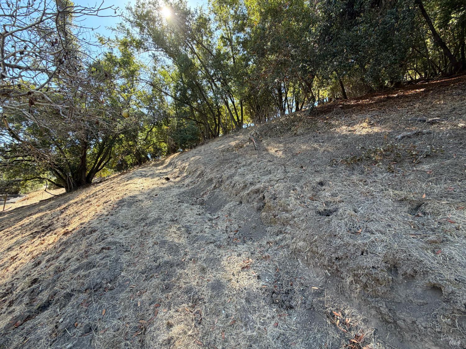 137 H Lane Novato CA 94945