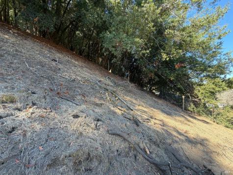 137 H Lane Novato CA 94945