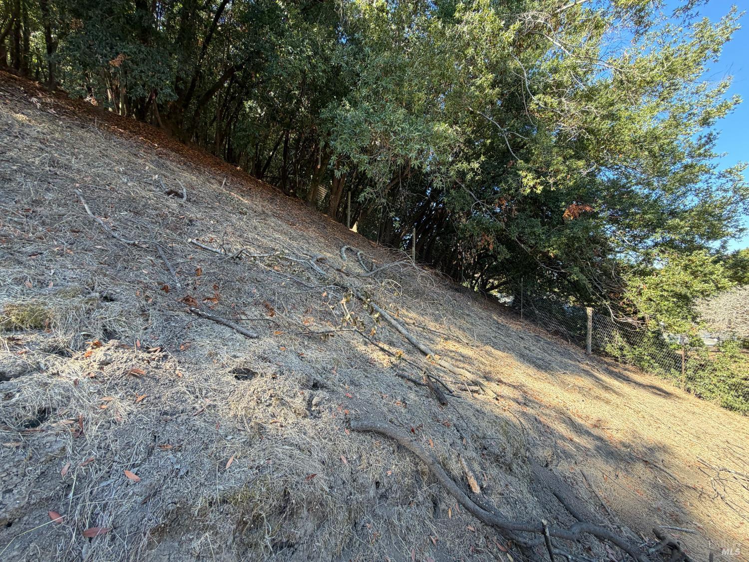 137 H Lane Novato CA 94945