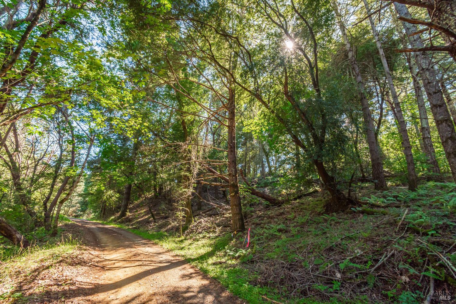 0 Dry Creek Road Napa CA 94558