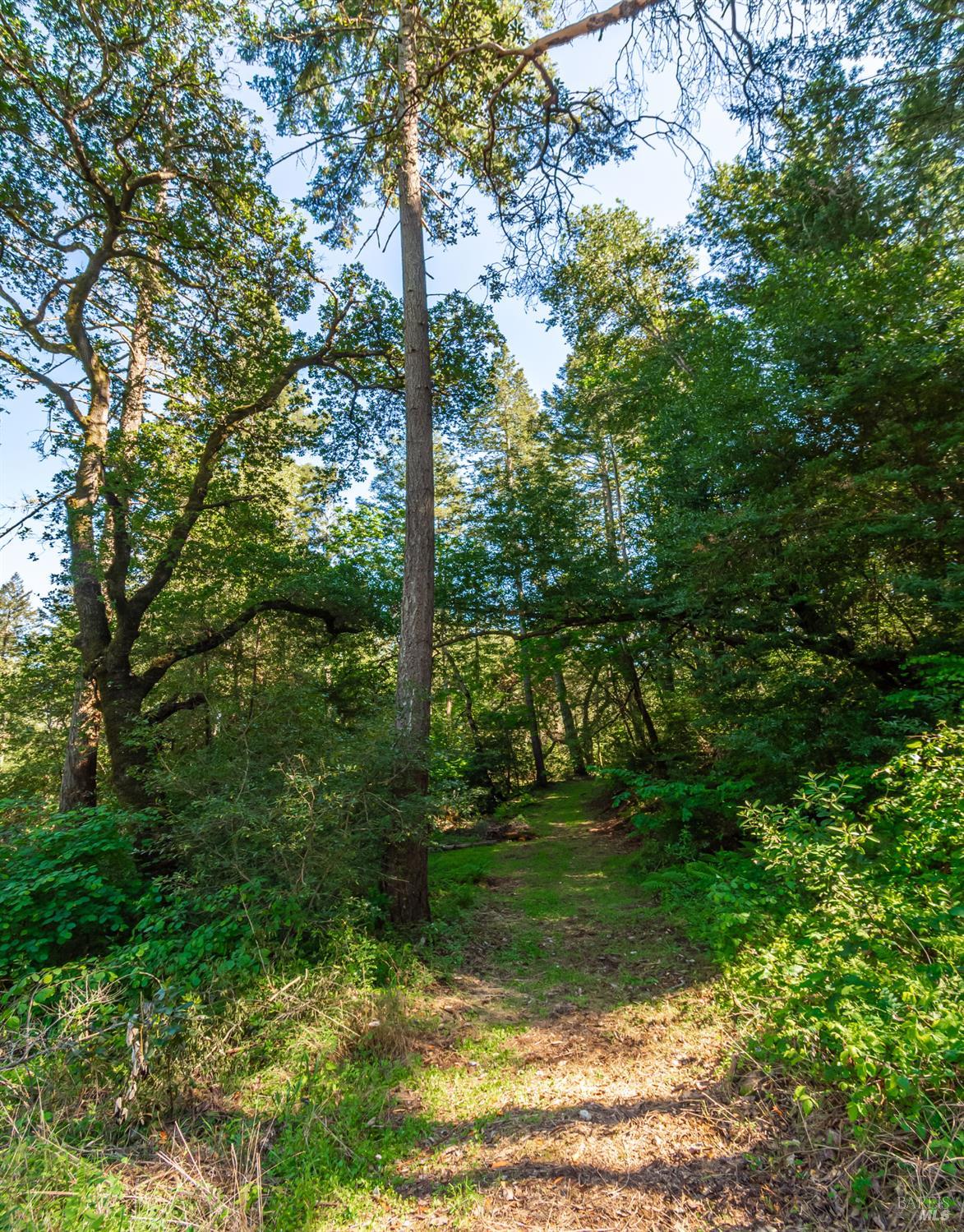 0 Dry Creek Road Napa CA 94558