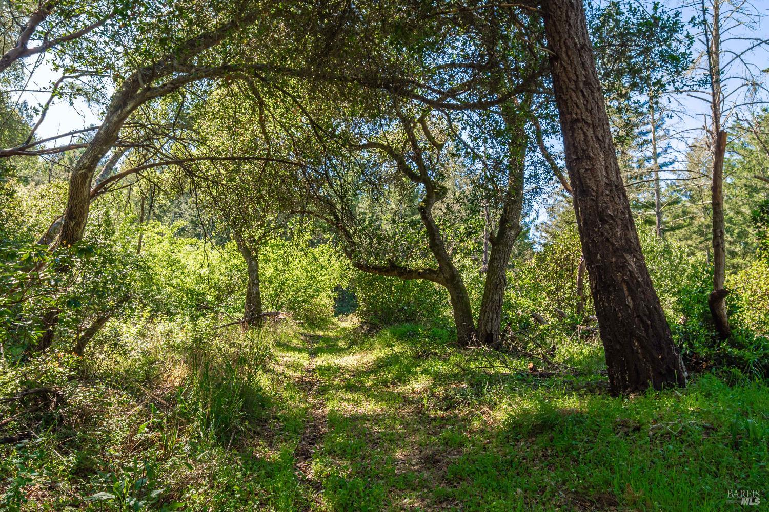 0 Dry Creek Road Napa CA 94558