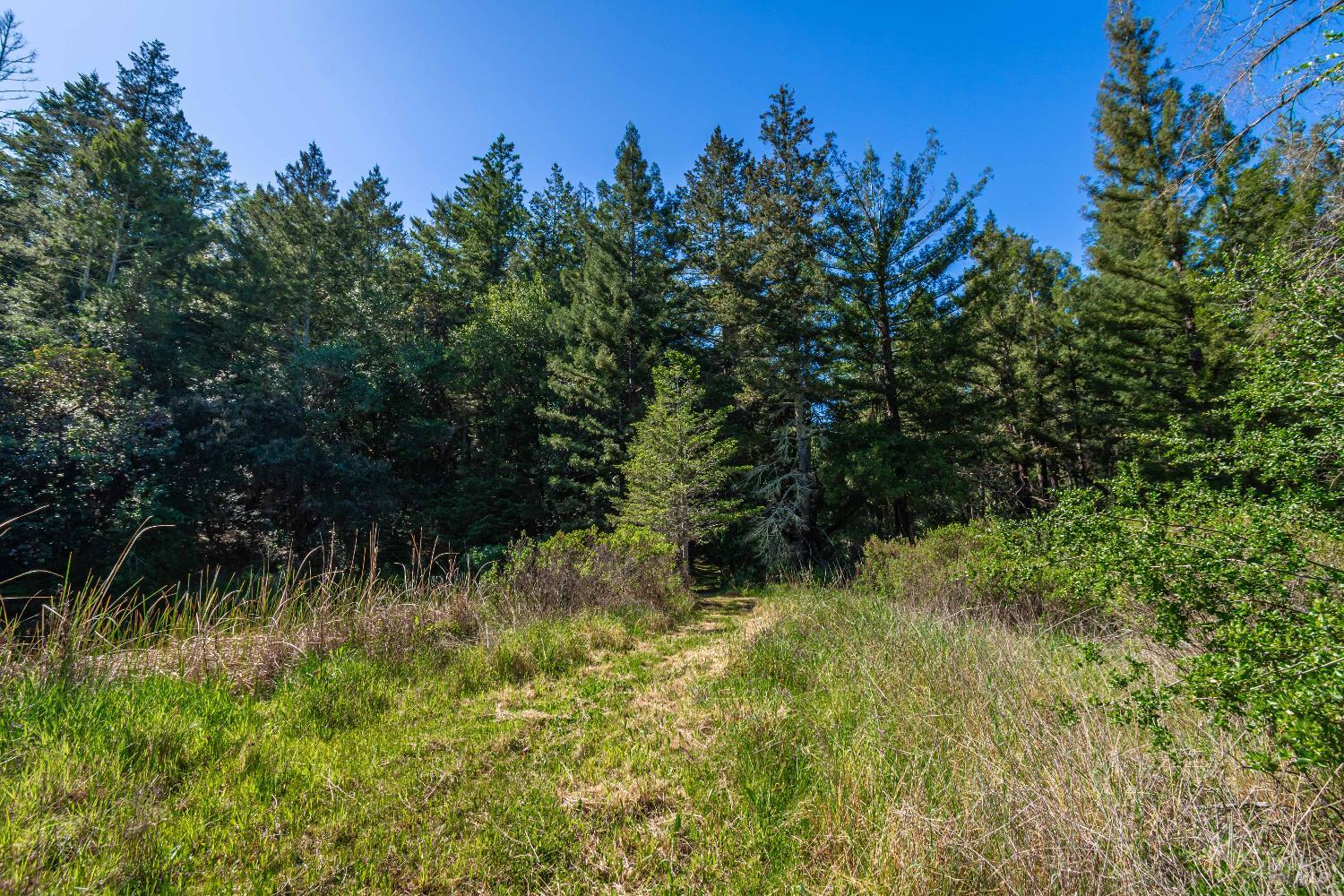 0 Dry Creek Road Napa CA 94558