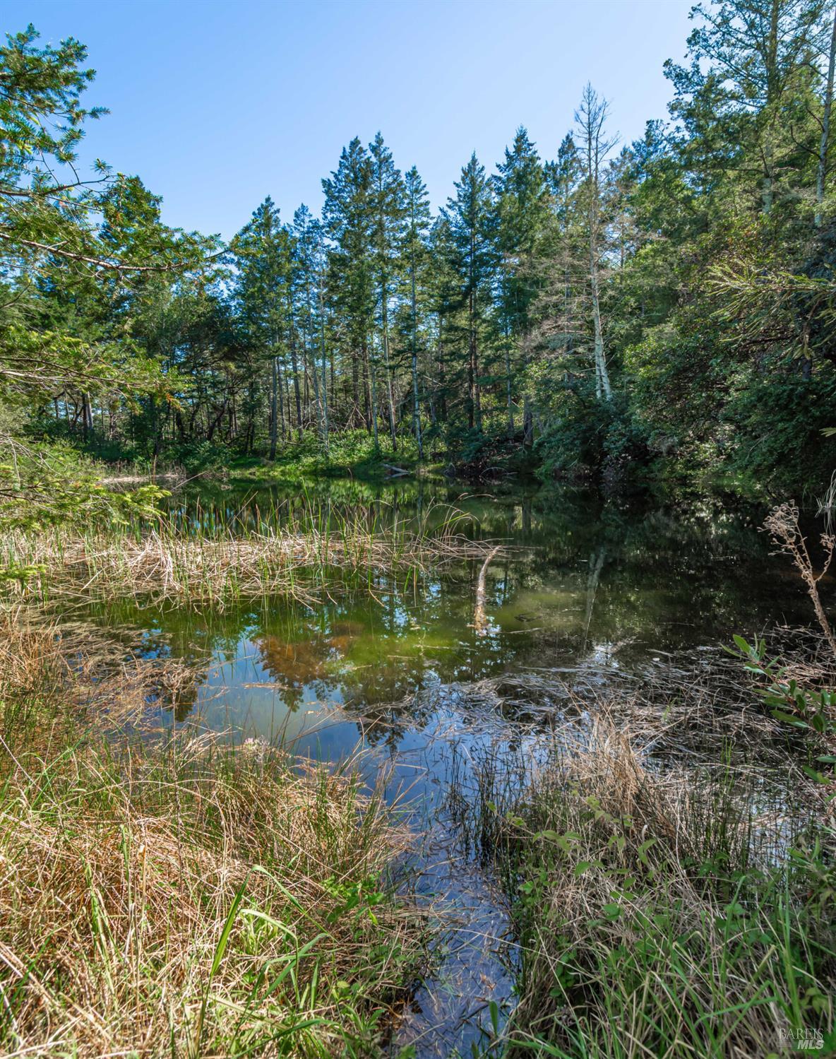 0 Dry Creek Road Napa CA 94558