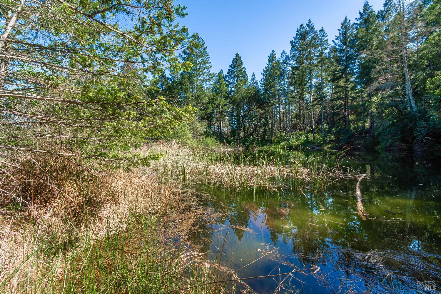 0 Dry Creek Road Napa CA 94558
