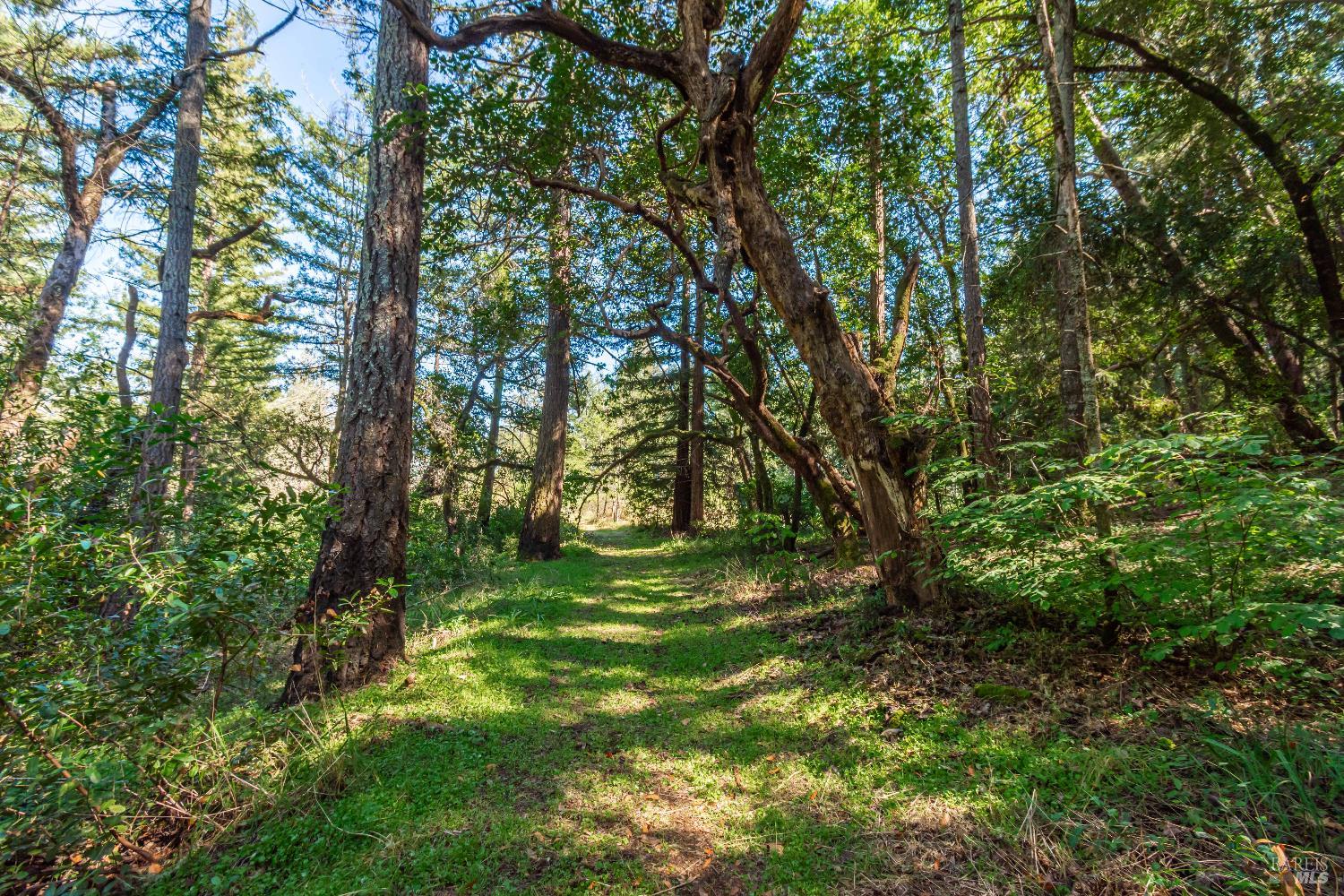 0 Dry Creek Road Napa CA 94558
