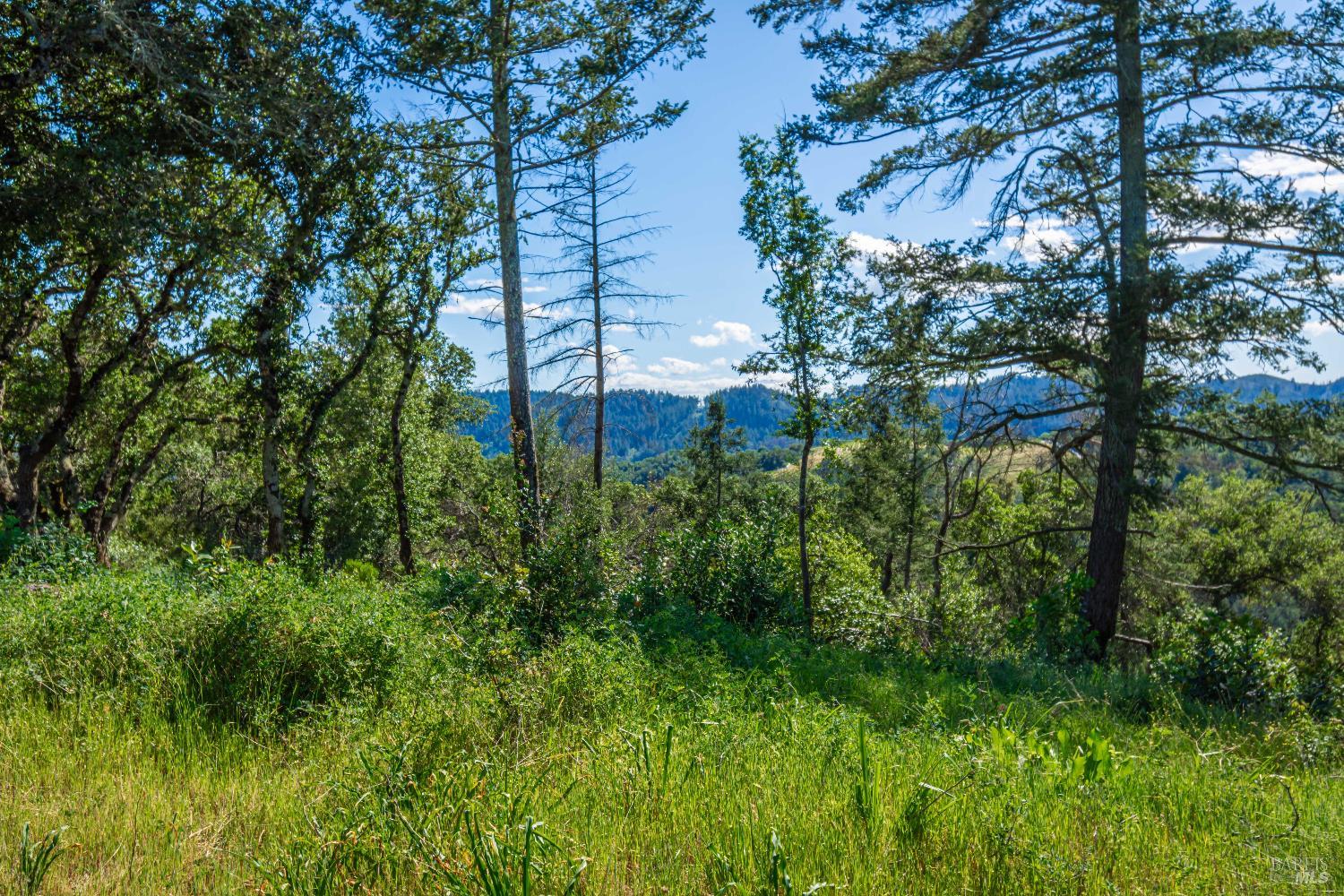 0 Dry Creek Road Napa CA 94558