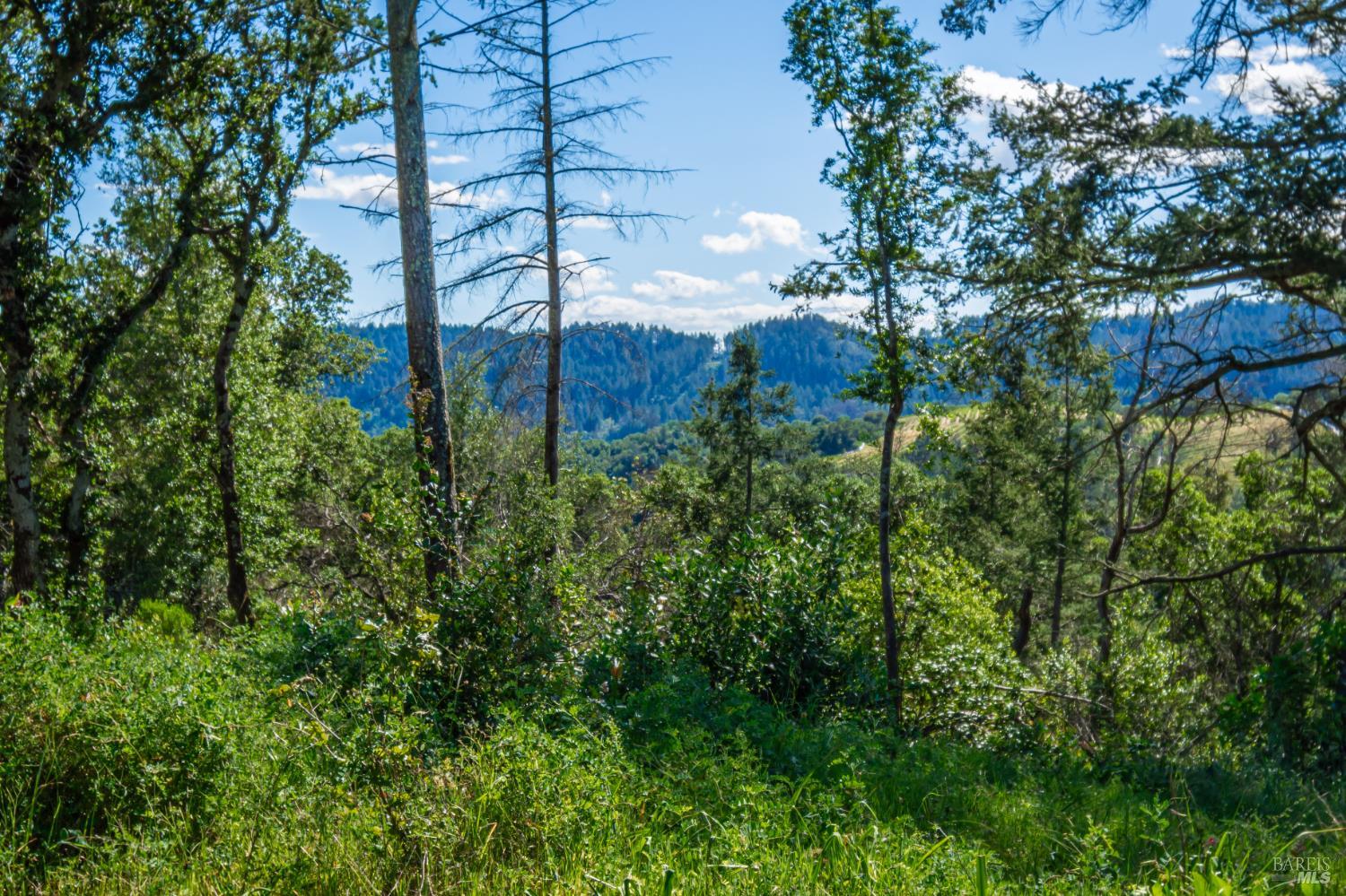 0 Dry Creek Road Napa CA 94558