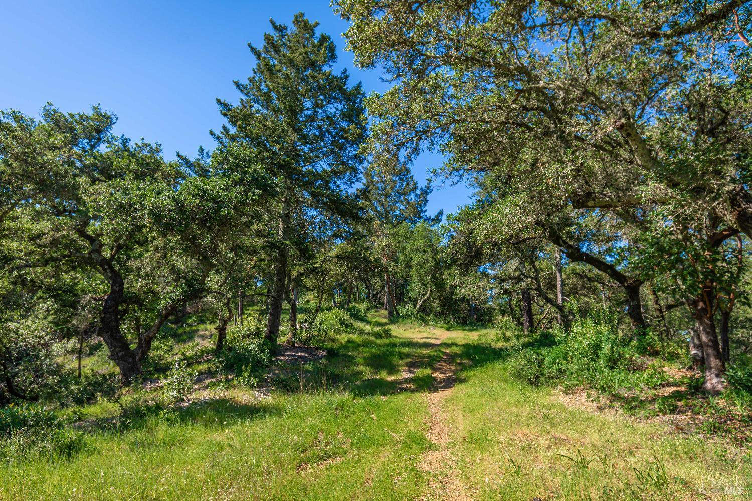 0 Dry Creek Road Napa CA 94558