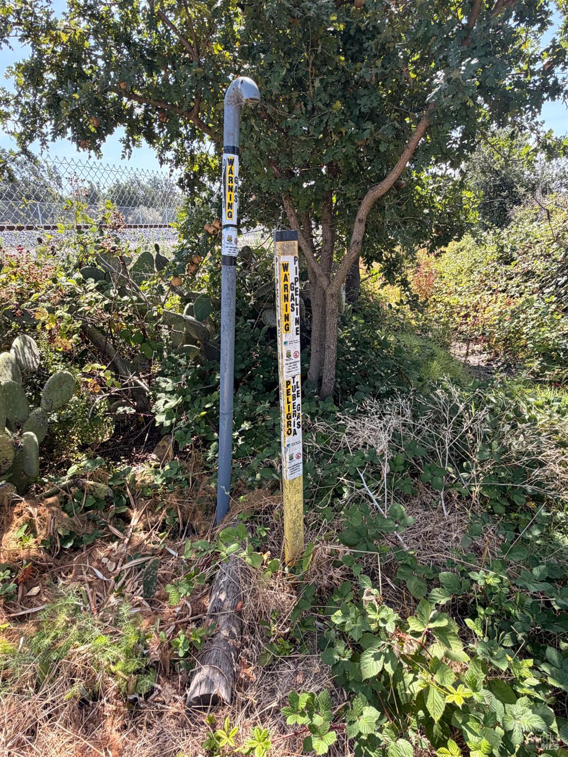 8660 Windsor Road Windsor CA 95492