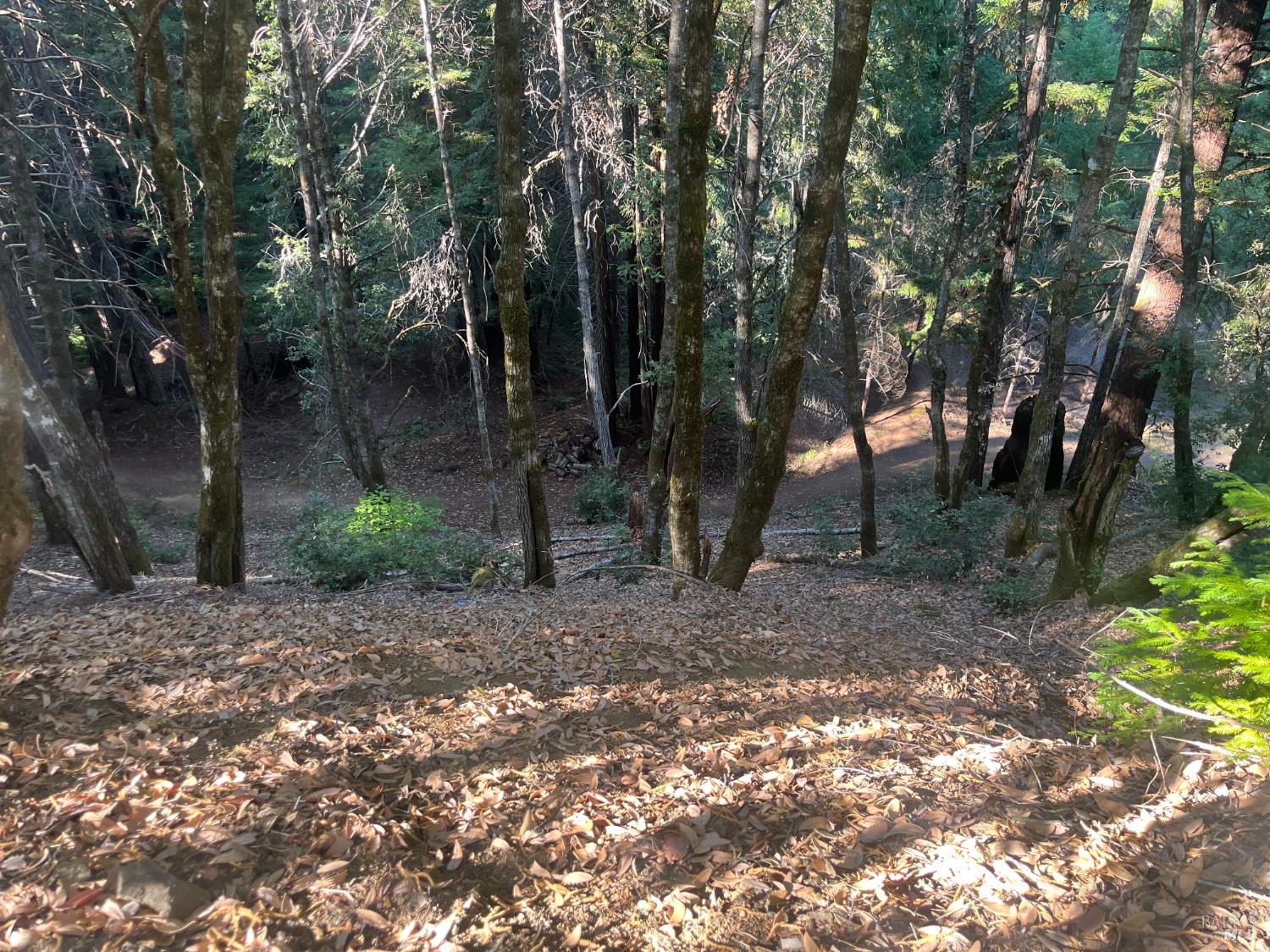 2581 Primrose Drive Willits CA 95490