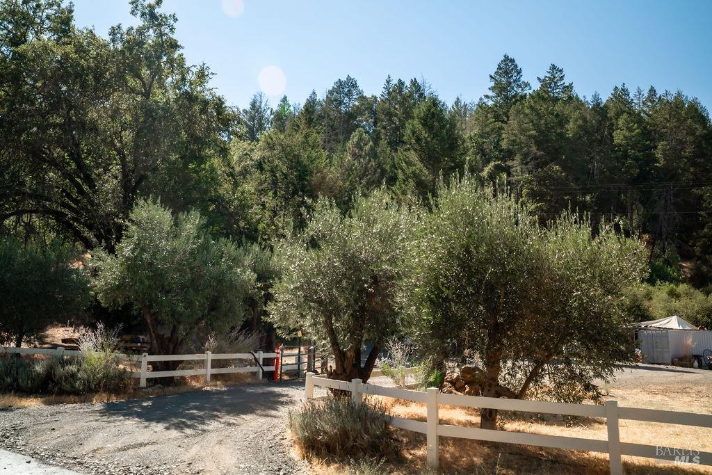 0 Mount Veeder Road St. Helena CA 94574
