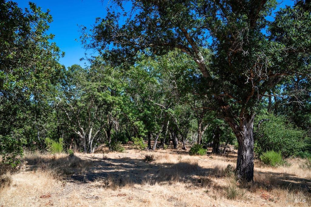 0 Mount Veeder Road St. Helena CA 94574