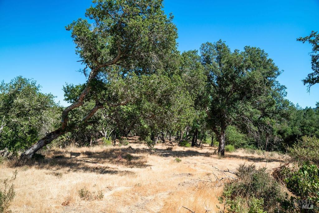 0 Mount Veeder Road St. Helena CA 94574