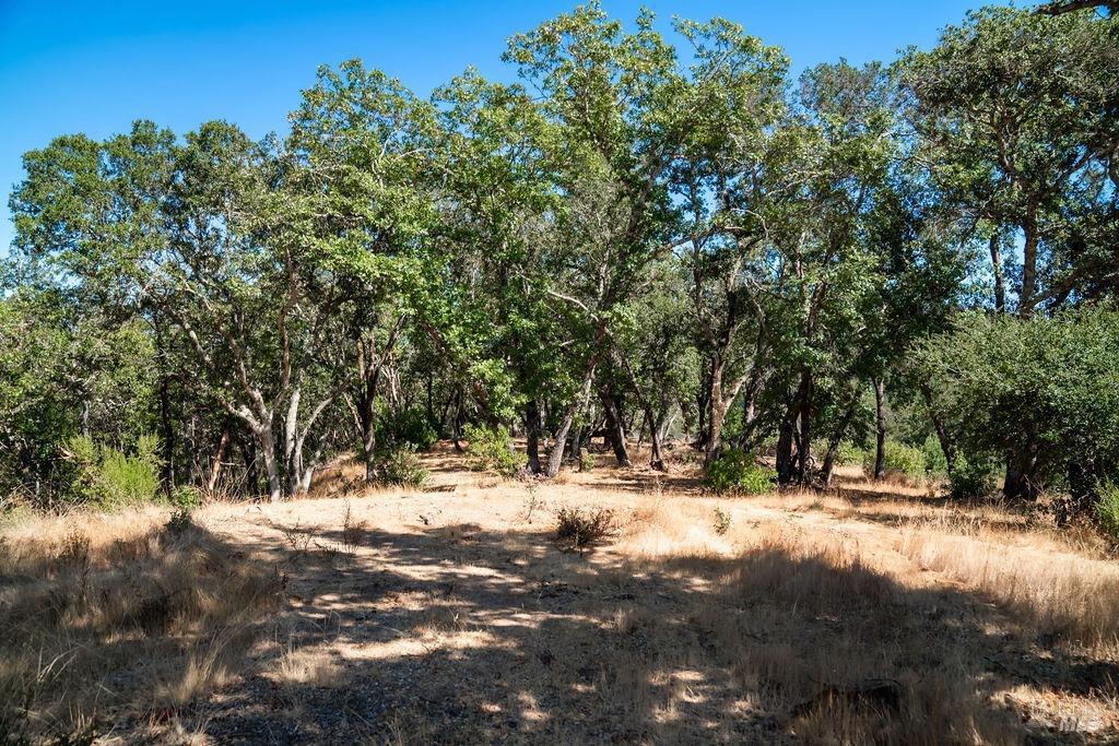 0 Mount Veeder Road St. Helena CA 94574