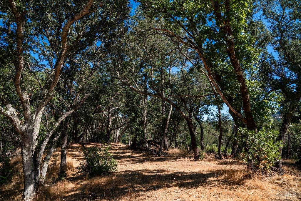 0 Mount Veeder Road St. Helena CA 94574