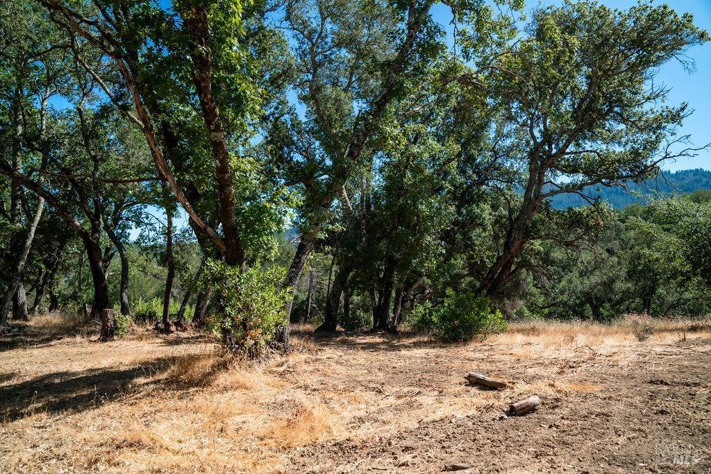 0 Mount Veeder Road St. Helena CA 94574