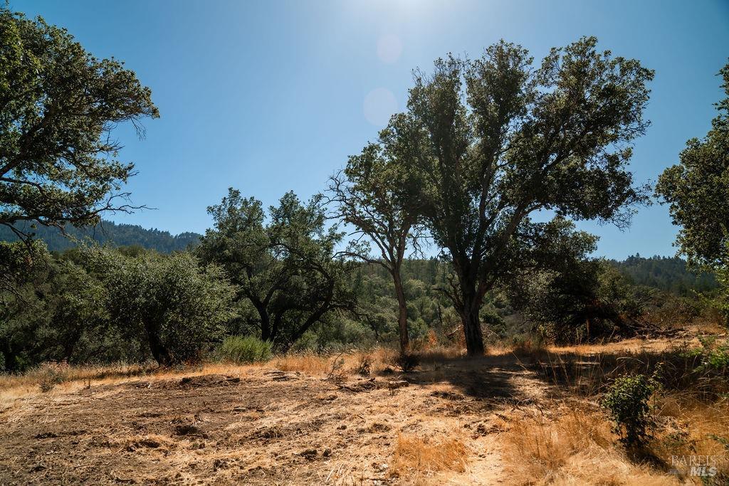 0 Mount Veeder Road St. Helena CA 94574