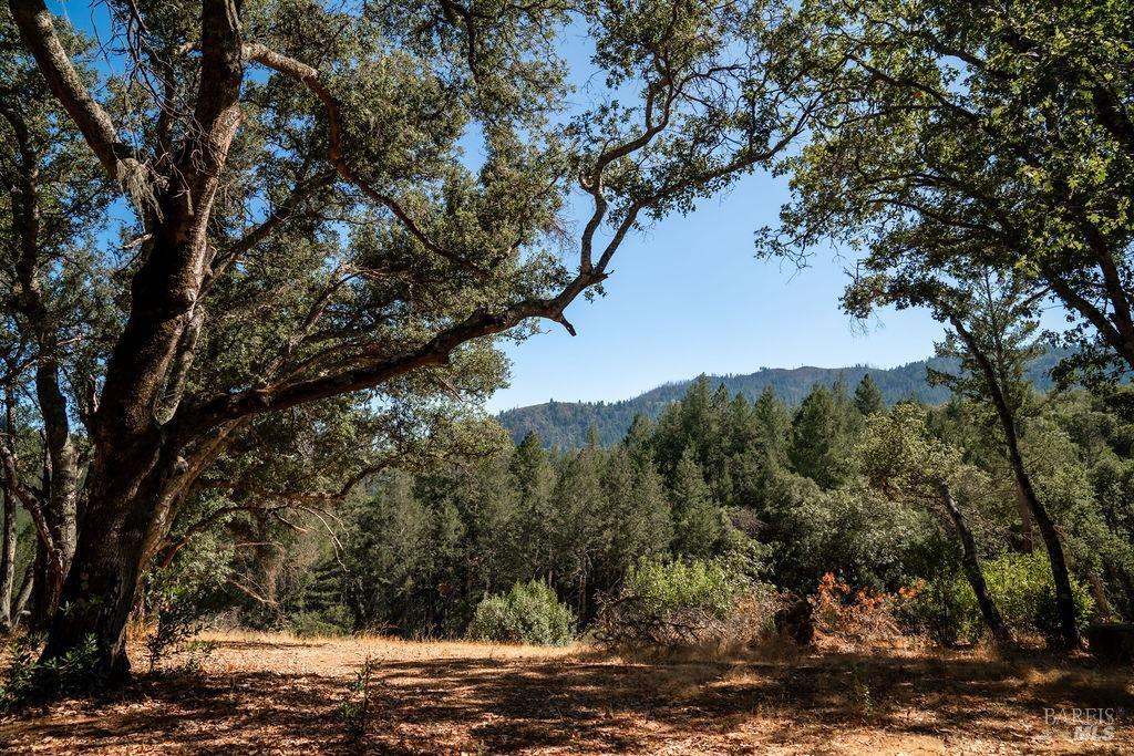 0 Mount Veeder Road St. Helena CA 94574