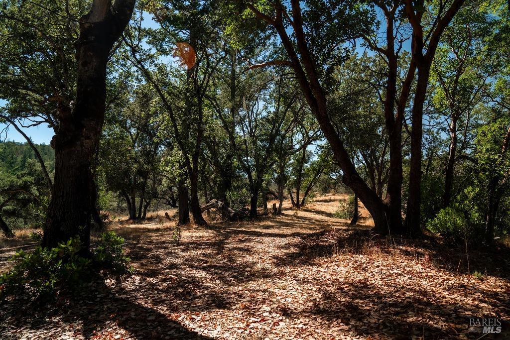 0 Mount Veeder Road St. Helena CA 94574