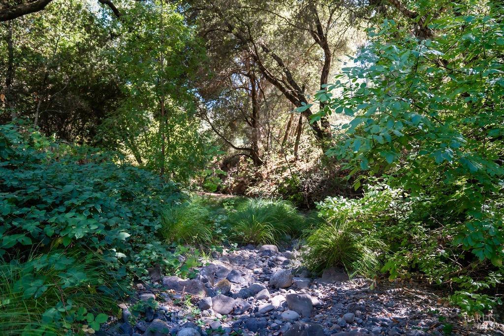 0 Mount Veeder Road St. Helena CA 94574