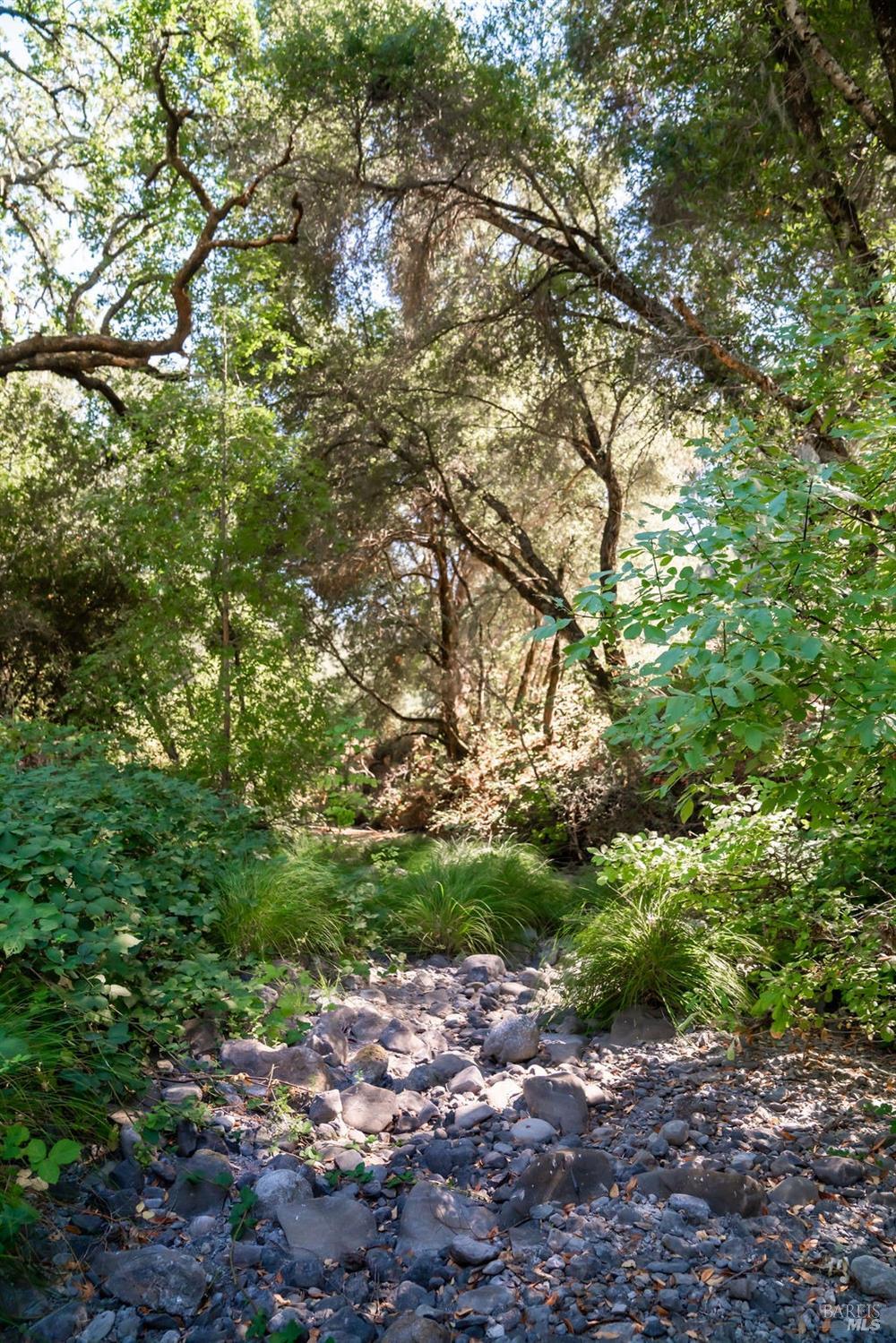 0 Mount Veeder Road St. Helena CA 94574